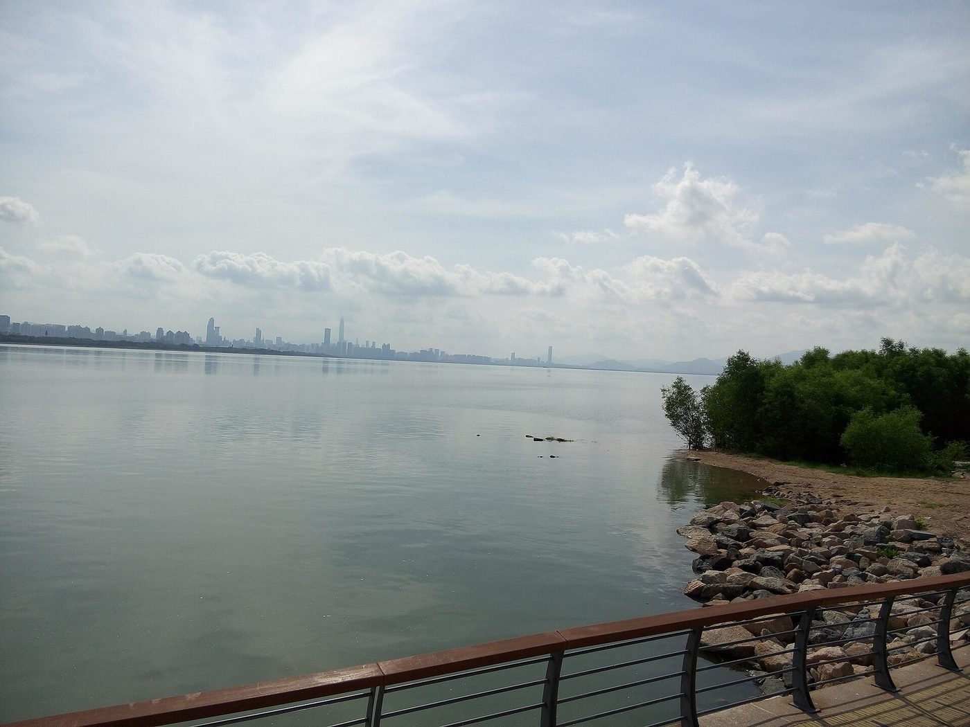 Shenzhen Bay